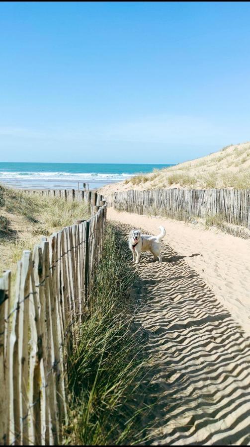 Apartment 2 Pieces Dans Bord De Aux Sables D'olonne Les Sables-d'Olonne
